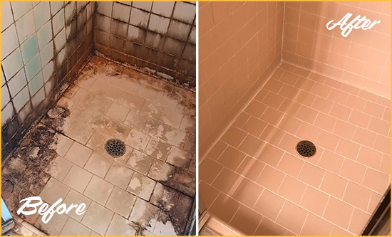 Before and After Picture of a Kenansville Shower Tile and Grout Cleaned to Repair Water Damage